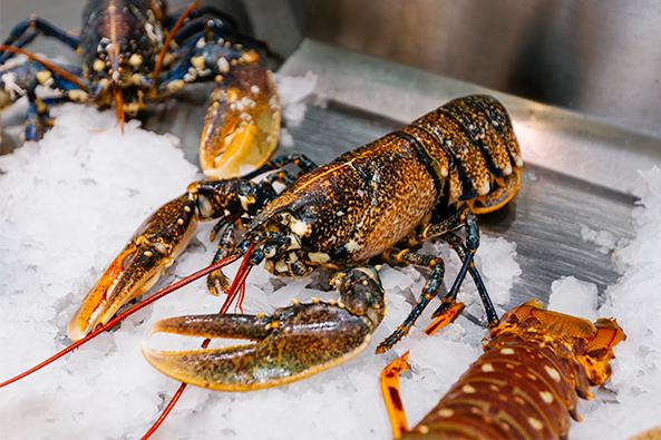 Homard île de Noirmoutier ©Trendz