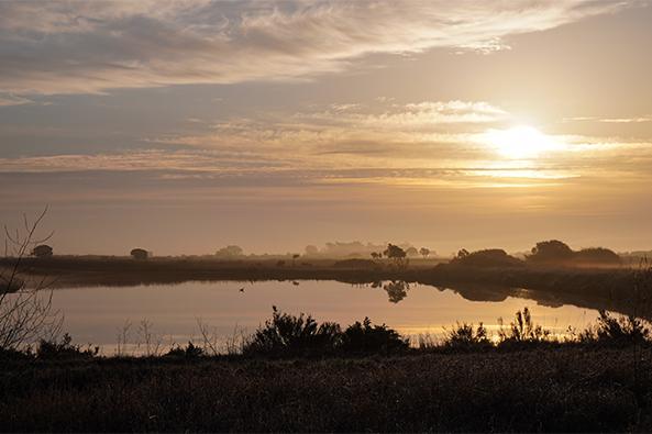 Marais de l'île de Noirmoutier ©Quentin-Boulegon
