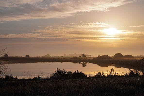 Lever de soleil sur les marais salants de l’Epine en hiver ©Quentin Boulegon