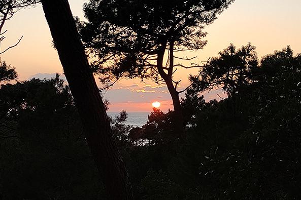 Coucher de soleil au Bois des Eloux en hiver ©Léa Garnier