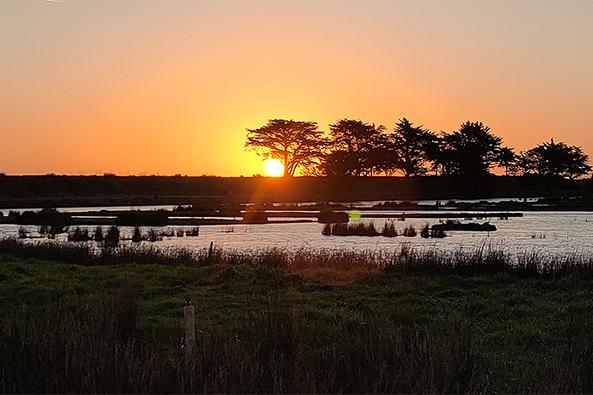 Lever de soleil au Polder de Sébastopol en hiver ©Léa Garnier