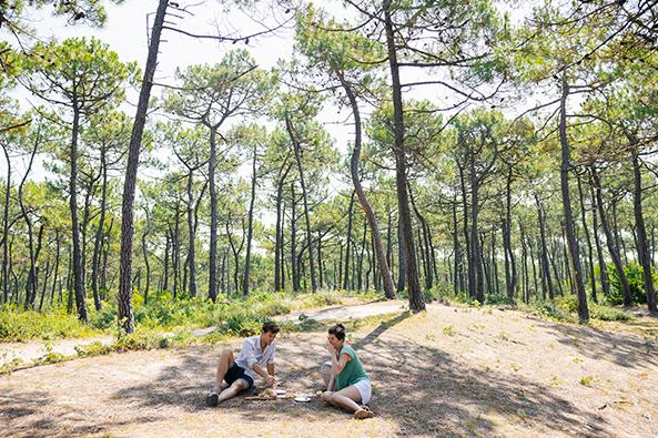 Bois des Eloux ©Trendz 
