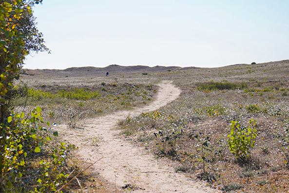 Dunes de la Tresson ©Quentin Boulegon