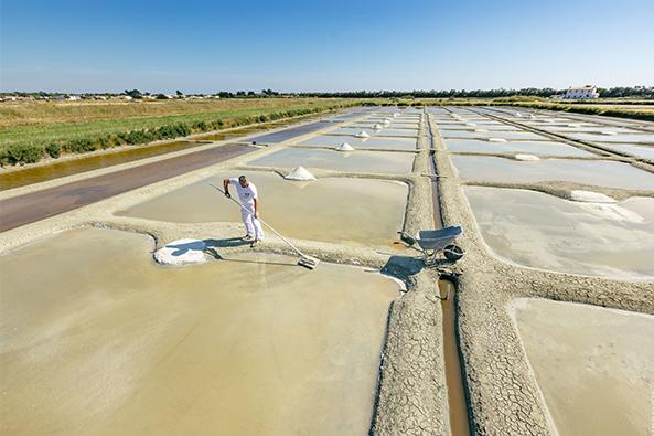 Marais salants ©Office de Tourisme Ile de Noirmoutier - Vendée Expansion - Simon Bourcier 