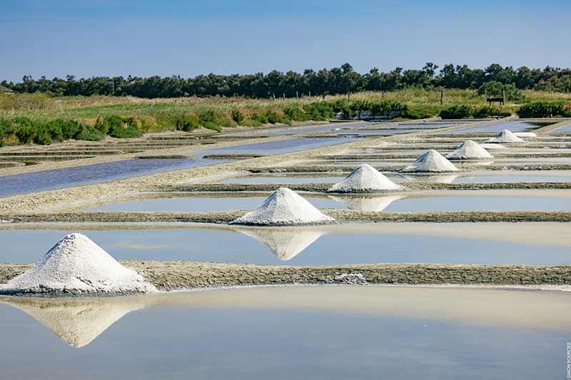 Marais Salant Epine ©Office de Tourisme Ile de Noirmoutier - Vendée Expansion - Simon Bourcier