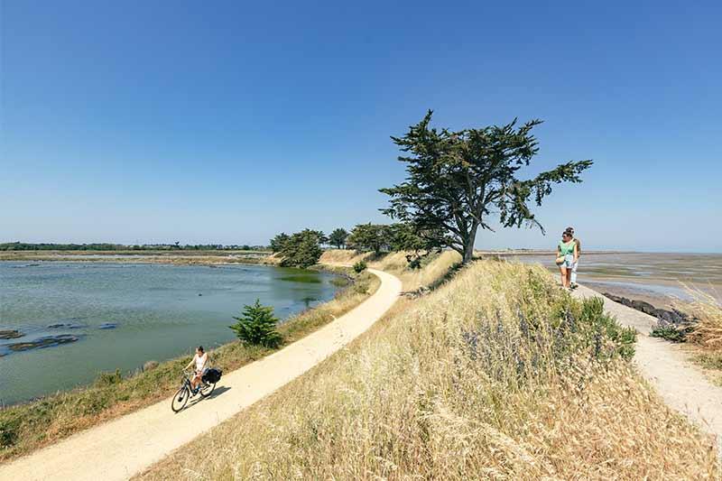 Polder de Sébastopol Barbâtre ©Office de Tourisme Ile de Noirmoutier - Vendée Expansion - Simon Bourcier