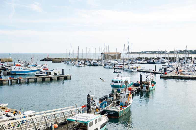 Port de pêche de l'Herbaudière - Trendz