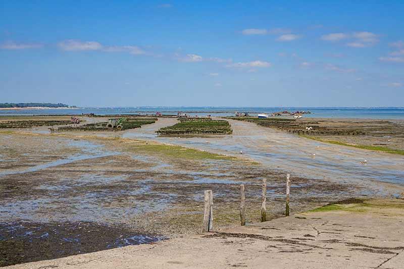 Vue sur parcs à huîtres port du Bonhomme - Quentin Boulegon