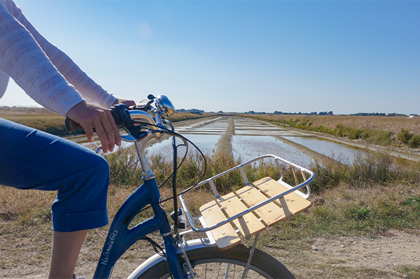 Balade à vélo - marais salants île de Noirmoutier – Quentin Boulegon