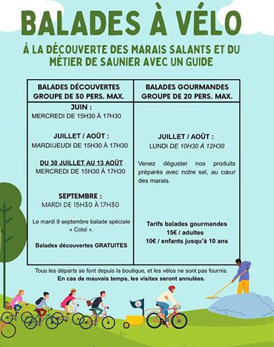 Balades à vélo guidées marais salants 2025 ©Coopérative de sel de Noirmoutier