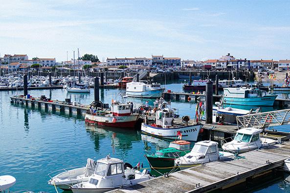 Port de L’Herbaudière - pêche ©Léa Filisetti