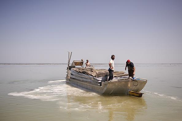 Lasses ou plates - bateaux plats ostréicoles - île de Noirmoutier ©Rudy Burbant