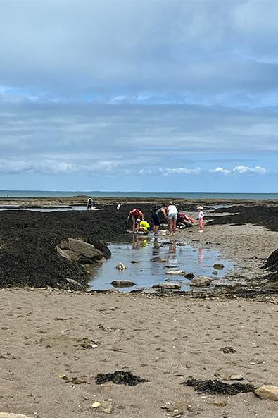 Sortie pêche à pied ©Marie Perray