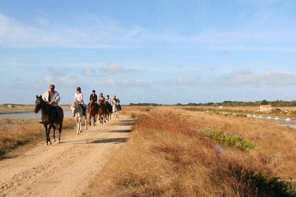 Balade à cheval ou poney marais salants Noirmoutier - Centre équestre Horse Club