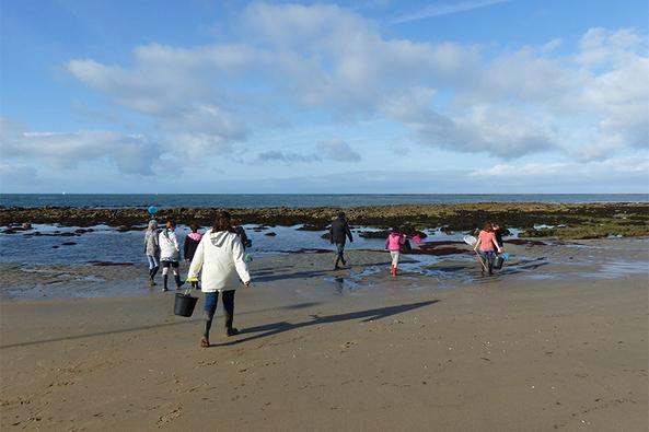 Sortie nature découverte estran faune pêche à pied ©Jean-Noël Pitaud