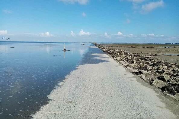 Visite guidée du Gois qui se recouvre ou se découvre - Céline Brochet