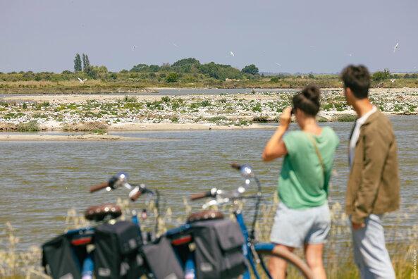 Réserve du polder de Sébastopol oiseaux – île de Noirmoutier ©Vendée expansion – Simon Bourcier