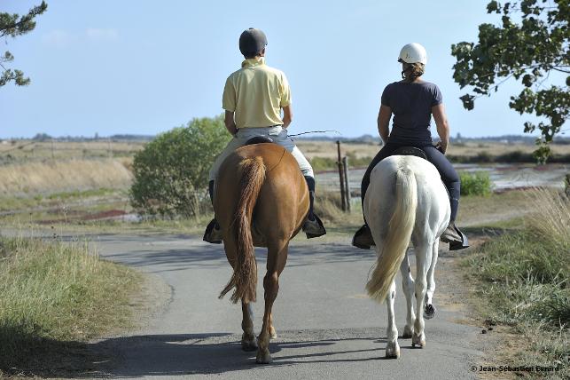 Centre équestre et Poney Club de l'Herbaudière 