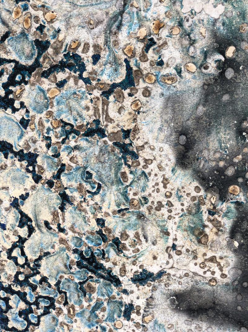 Du 17 au 23 août 2026 - Exposition Là où naissent les images par Véronique DUTRU et Jérôme GOURDON