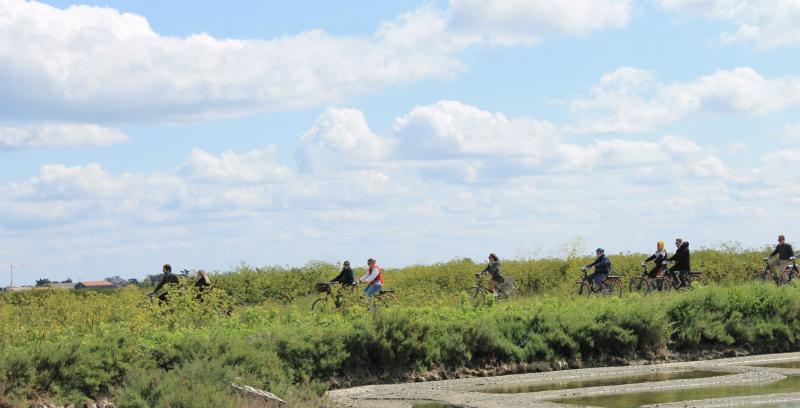 22 juillet 2025 - Balades guidées à vélos à la découverte des Marais Salants - gratuit