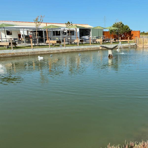 Le Bouclard des Petits Bassets - Bar à huîtres