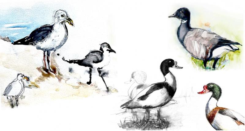 1 Poisson dans l'O - Cours de dessin et d'aquarelle