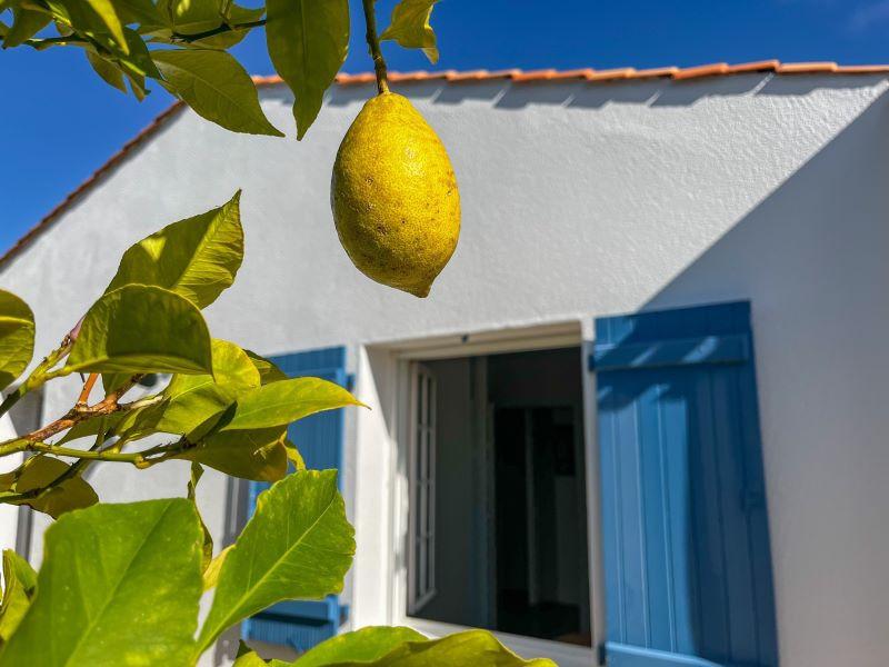 Escale à Noirmoutier - Maison "ZELMA" - 6 personnes