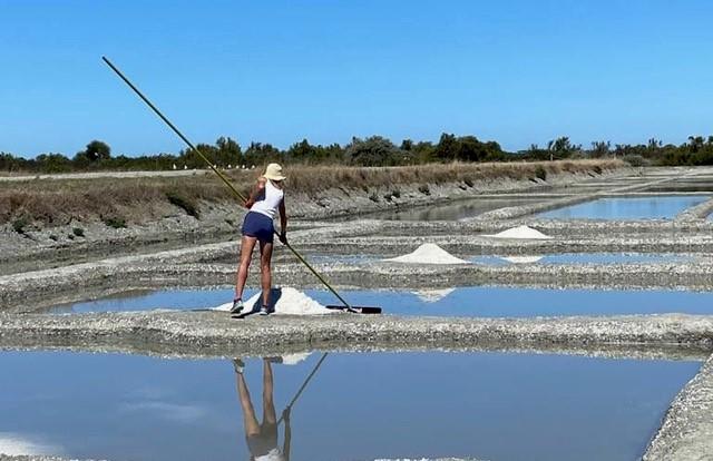Marais salants Les Cholleaux par Laurence