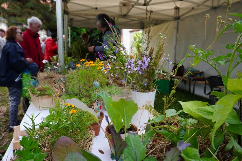 10 mai 2026 - La journée au jardin