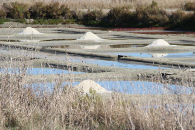 L’Esprit Saunier - Le magasin de vente directe de la coopérative de sel de Noirmoutier