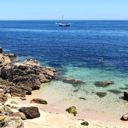 O'Abandonado - Balades et sorties en mer