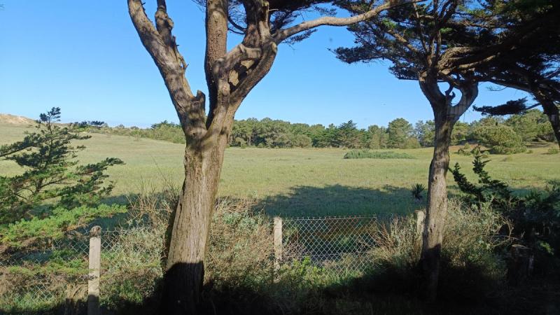 MAIS BM06150 / Noirmoutier : Maison de vacances pour 6 personnes vue sur la dune à Barbâtre