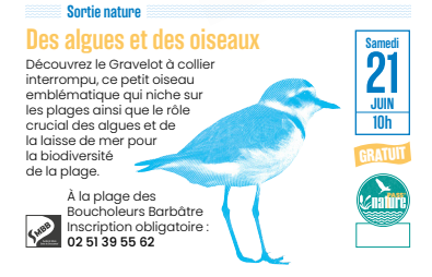 21 juin 2025 - Sortie nature : Des algues et des oiseaux