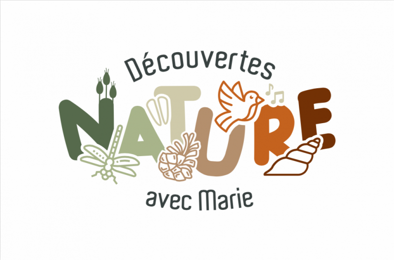 29 décembre 2025 - Balade iodée en famille