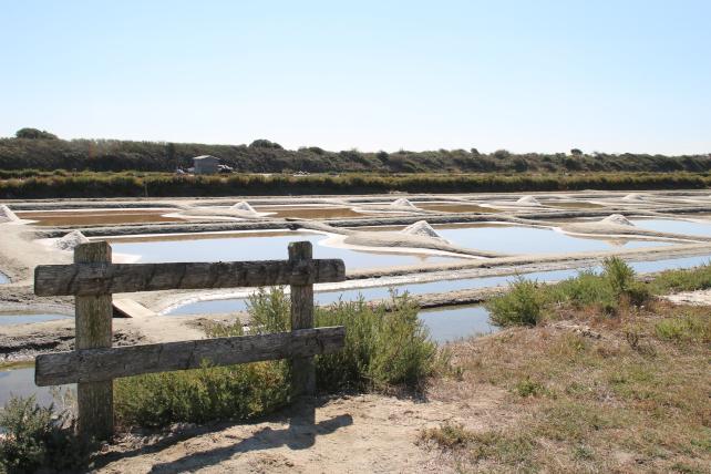 L’Esprit Saunier - Le magasin de vente directe de la coopérative de sel de Noirmoutier