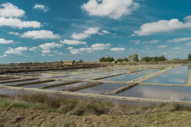 Estate Agencie L'Adresse - Les Embruns immobilier