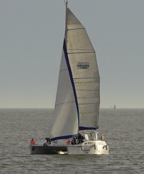 Cap Océan Croisière - balade et pêche en mer en catamaran