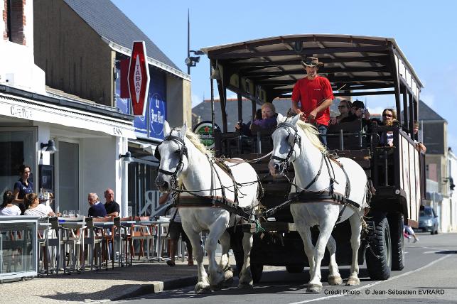 Hippobus de l'île - balades en carriole 