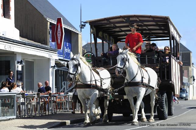 Hippobus de l'île - balades en hippobus