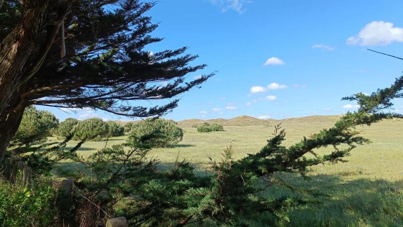 MAIS BM06150 / Noirmoutier : Maison de vacances pour 6 personnes vue sur la dune à Barbâtre