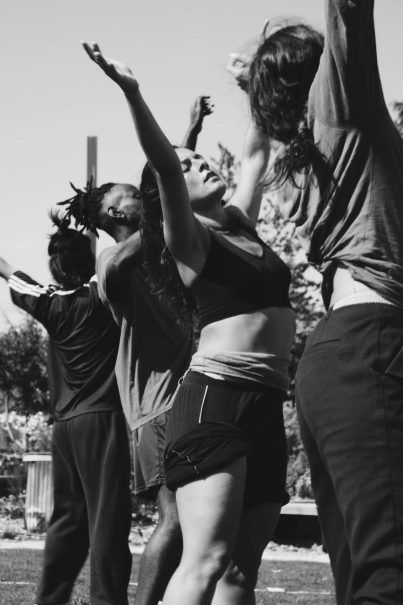 15 mai 2026 - DÉFERLANTE DE PRINTEMPS - Orientation