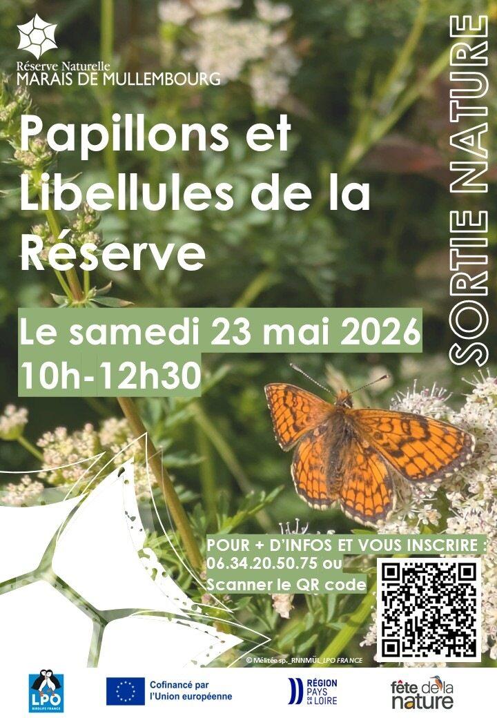 23 mai 2026 - A la découverte des papillons et libellules de la réserve