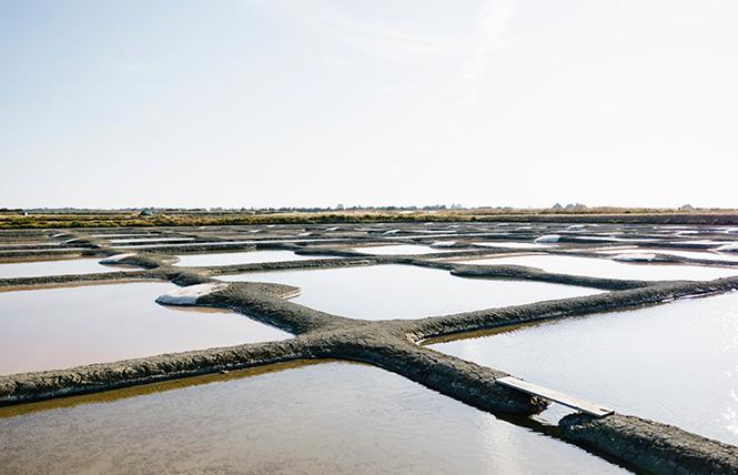 Chasse aux Trésors "île de Noirmoutier Aventures" - Les Marais salants avec Louise