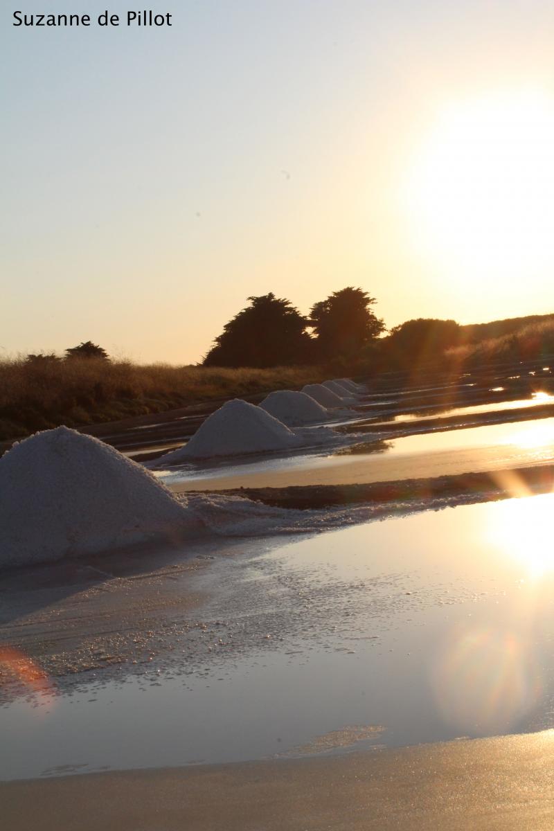 29 avril 2026 - Balade crépusculaire avec Suzanne de Pillot