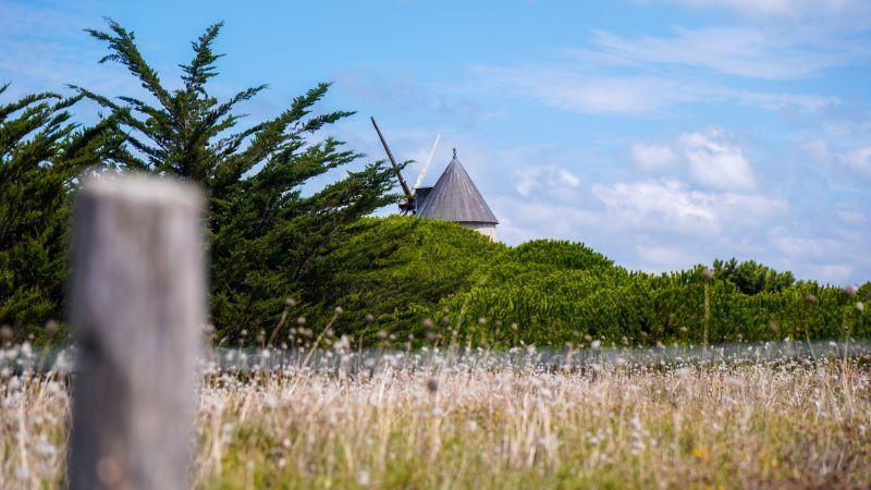 16 septembre 2026 - Visite guidée : La Guérinière : mémoire et tradition au fil du temps