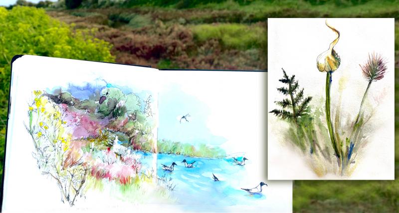 1 Poisson dans l'O - Cours de dessin et d'aquarelle