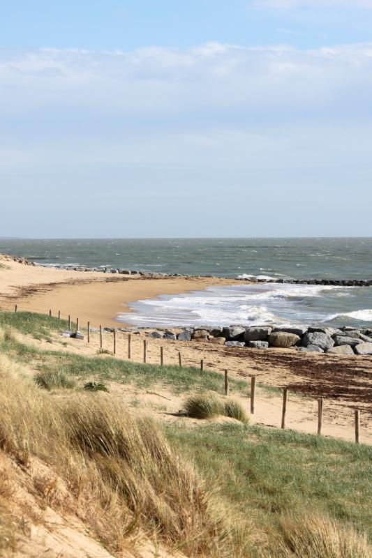 8 mai 2026 - Visite guidée : L'Epine : balade du littoral au bois des Eloux.