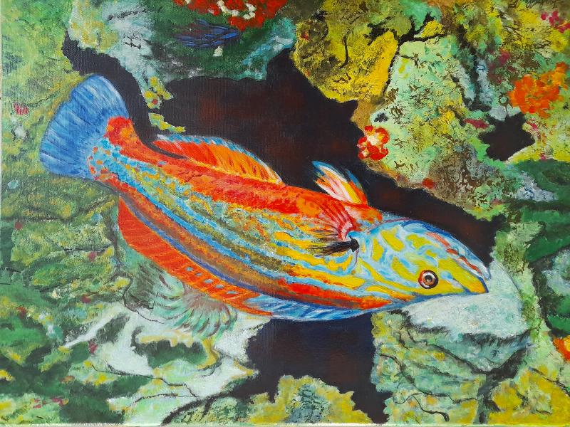 Du 25 au 31 août 2025 - Exposition LES TOILES DE MER