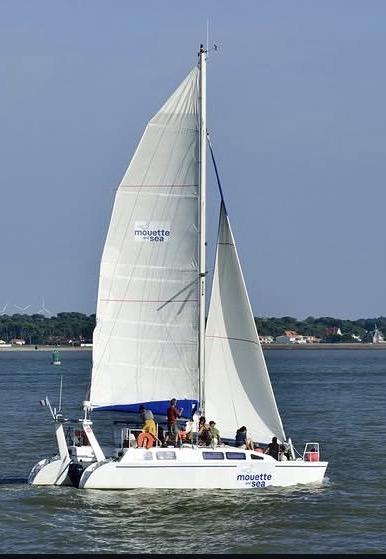 Cap Océan Croisière - balade et pêche en mer en catamaran