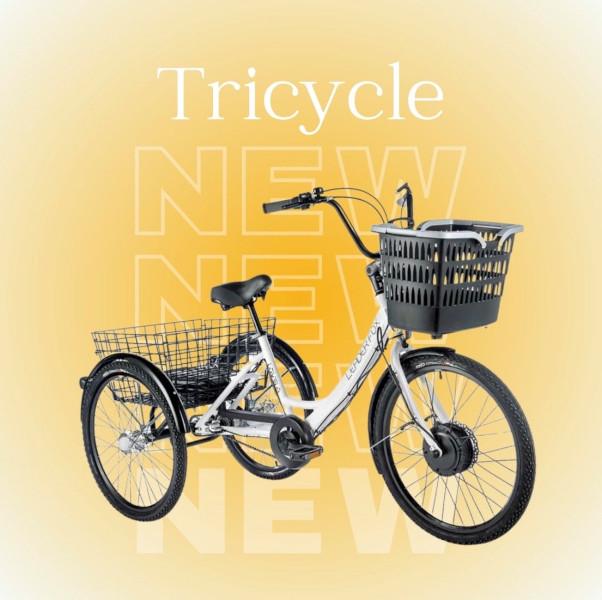No 2 Roo - Location de vélos classiques et électriques